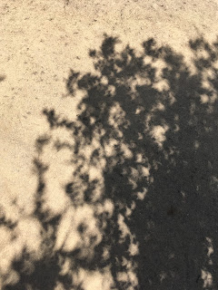 Start of eclipse image showcasing shadow details, before crescent shapes arrived.