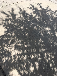 Height of eclipse shadow detail showcasing crescent shapes. Taken in Cedar Park, Texas during total eclipse of the sun.