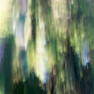 An abstract natural image, featuring lots of blues and greens from the trees and sky