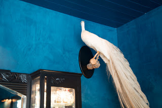 A white peacock against an entirely blue painted room. South Austin odd in Saint Cecilia.