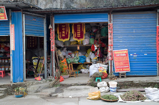 A Chinese apothecary supply store in a hidden area of Guilin, China. Unknown items for sale displayed here. 