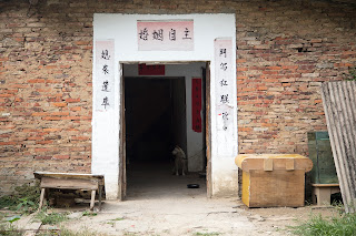 A dog sits in a doorway inside a hidden village of Guilin, China