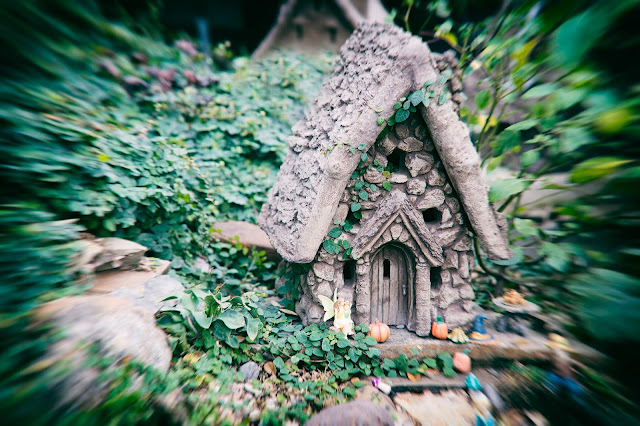 Toy camera image of a small house in the bushes, Texas, United States. 