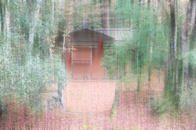 Red house in the woods, Kyoto, Japan, impressionistic view