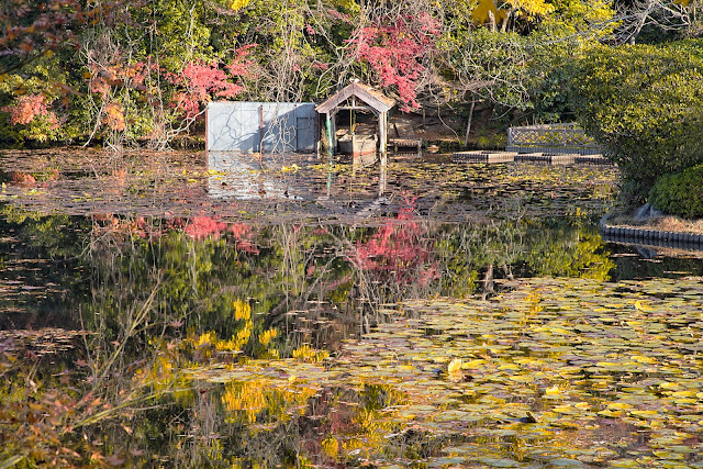 Boat house by a pond in colorful autumn season, Kyoto, Japan