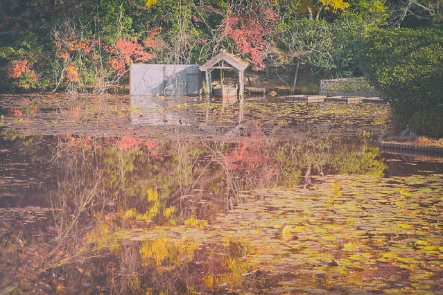 Boat house on lake in autumn, Kyoto, Japan