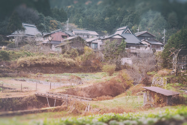 Hillside village farm, Ohara, Kyoto, Japan