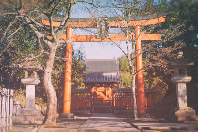 Torii Gate, Temple site, Kyoto, Japan
