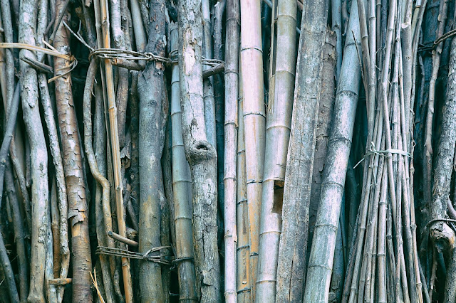 Bamboo, A Love Story