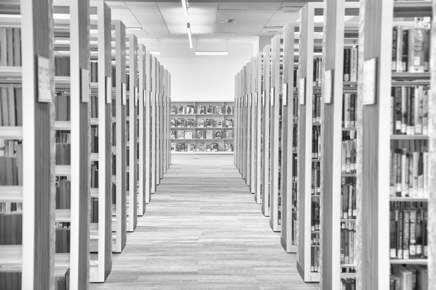 Library stacks in the Round Rock Public Library by Carol Schiraldi 