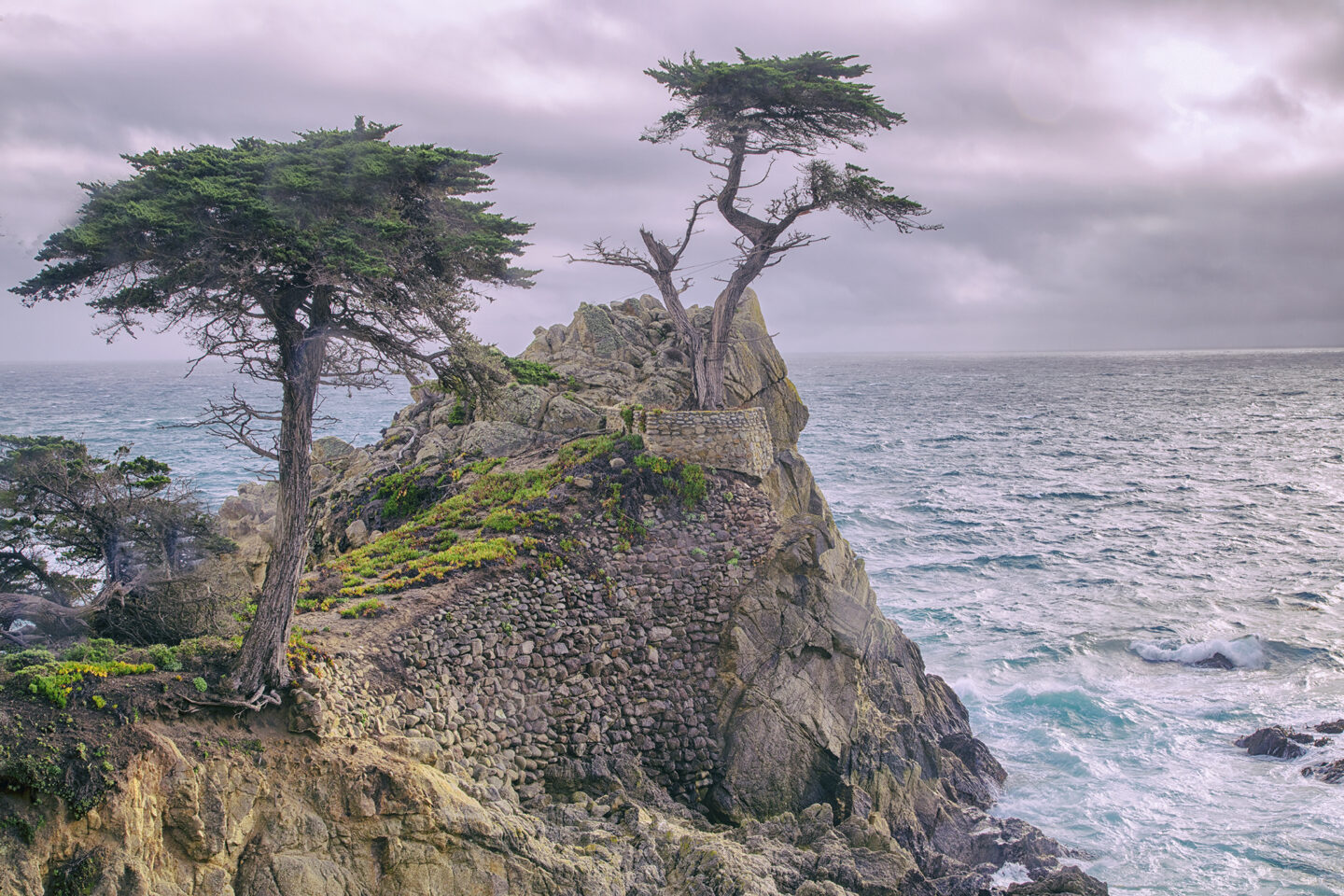 Two cypress trees on a cliff overlooking the Pacific Ocean, at Big Sur, California. Photo by Carol Schiraldi of Carol's Little World. 