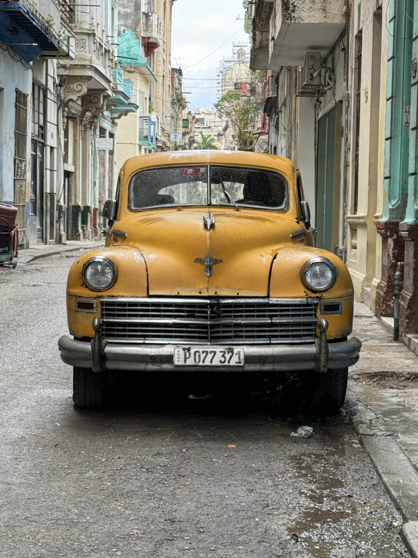 Large yellow classic American car set against buildings in Old Havana, Cuba, by Carol Schiraldi of Carol's Little World 