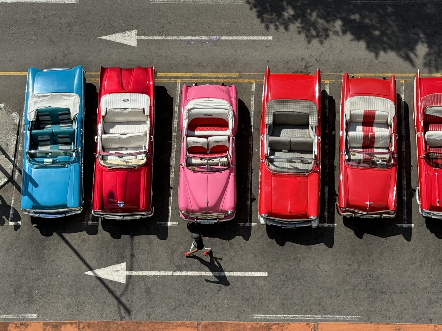 Row of classic cars with person walking in the square, Havana, Cuba, by Carol Schiraldi of Carol's Little World 