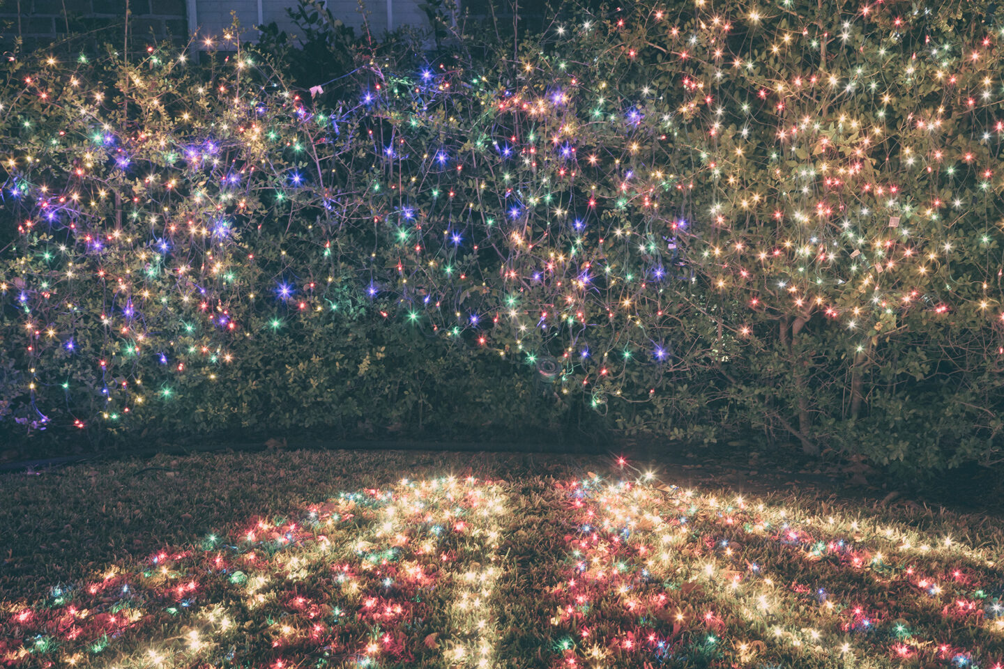 Forest of Light from the Bent Brook holiday light display in Round Rock Texas 