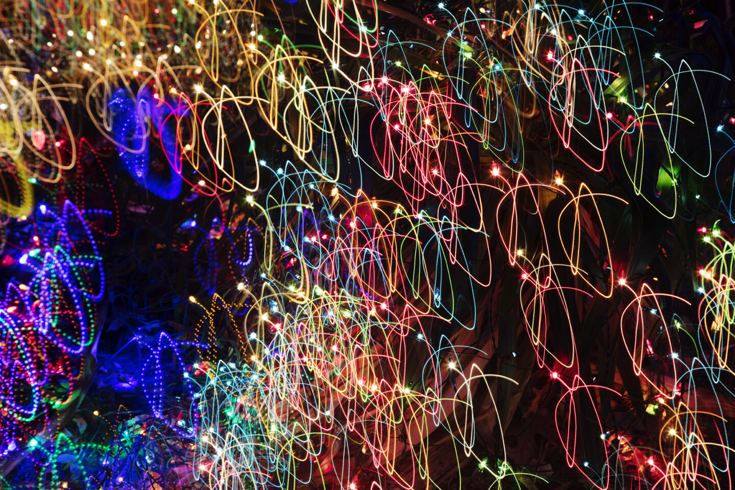 A Whimsical Journey Through Light: Celebrating the Magic of Color